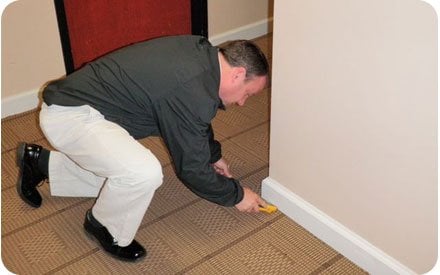 Photo of Flood Pro