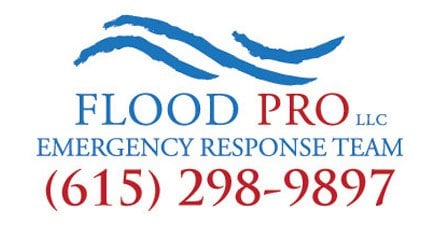 Photo of Flood Pro