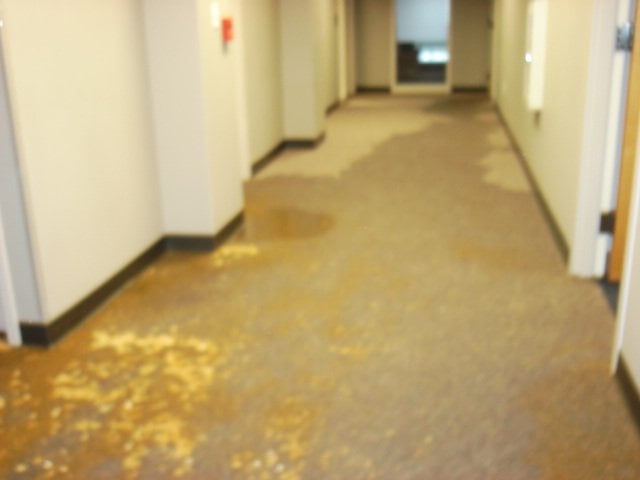 Photo of Flood Pro