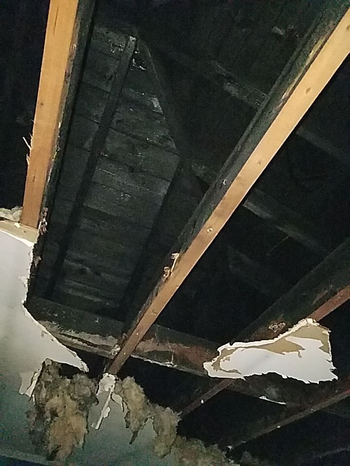 Photo of RS1 Water & Fire Damage Restoration
