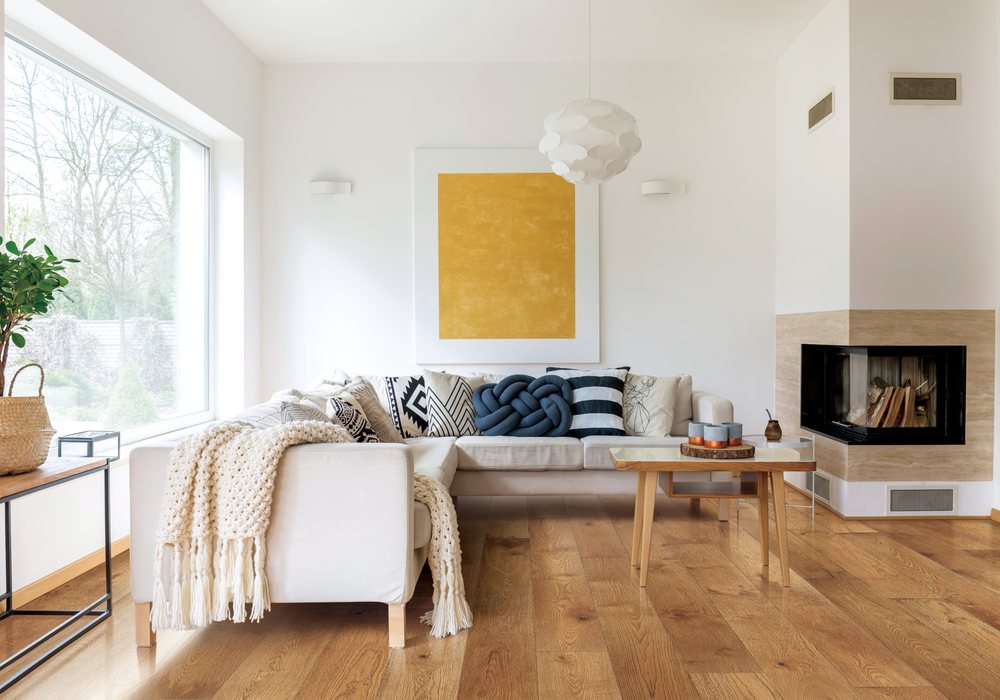 Photo of Modern Carpet One Floor & Home