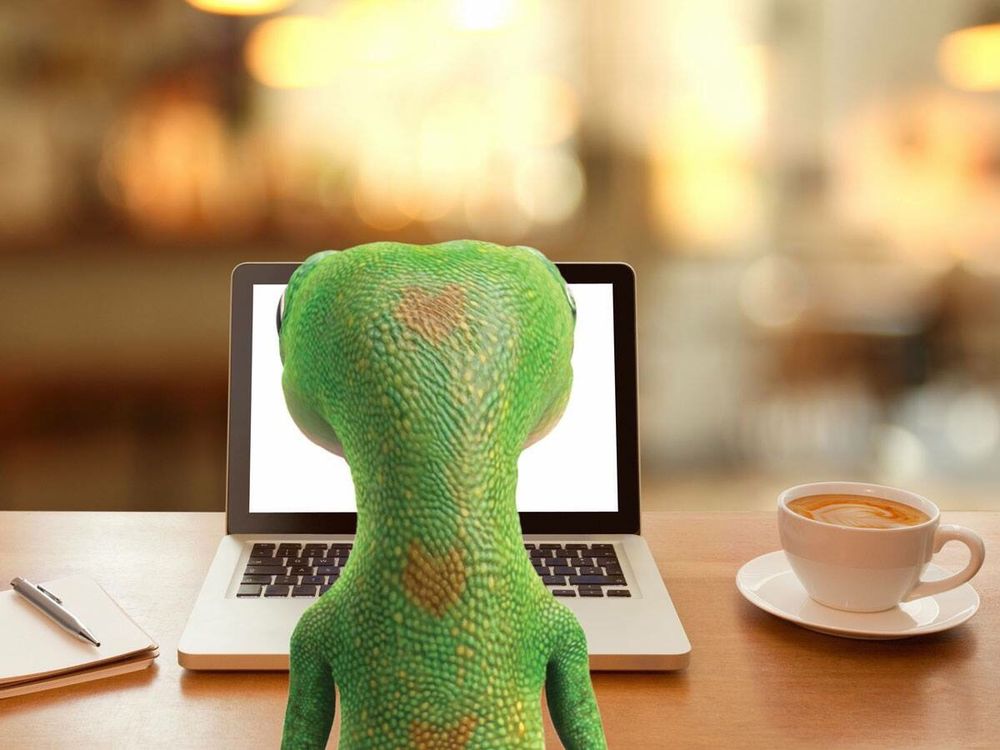 Photo of Megan Donoho - GEICO Insurance Agent