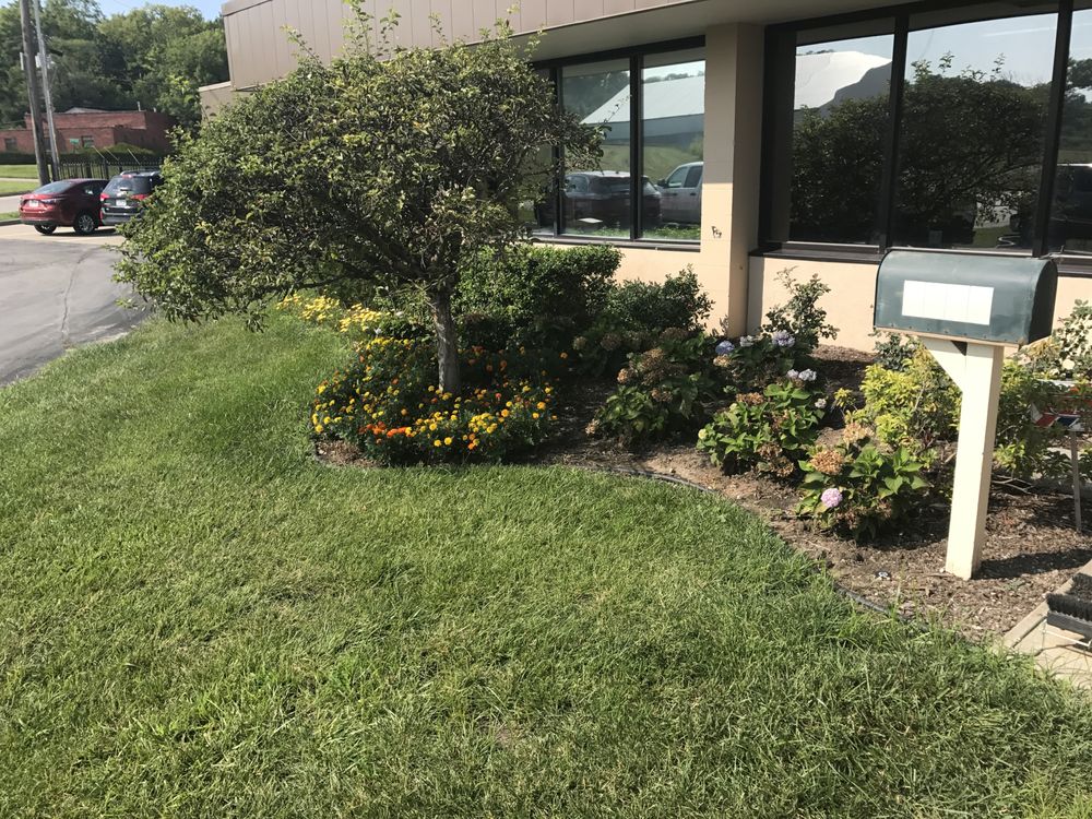 Photo of Shelton & Son Lawn & Tree Company