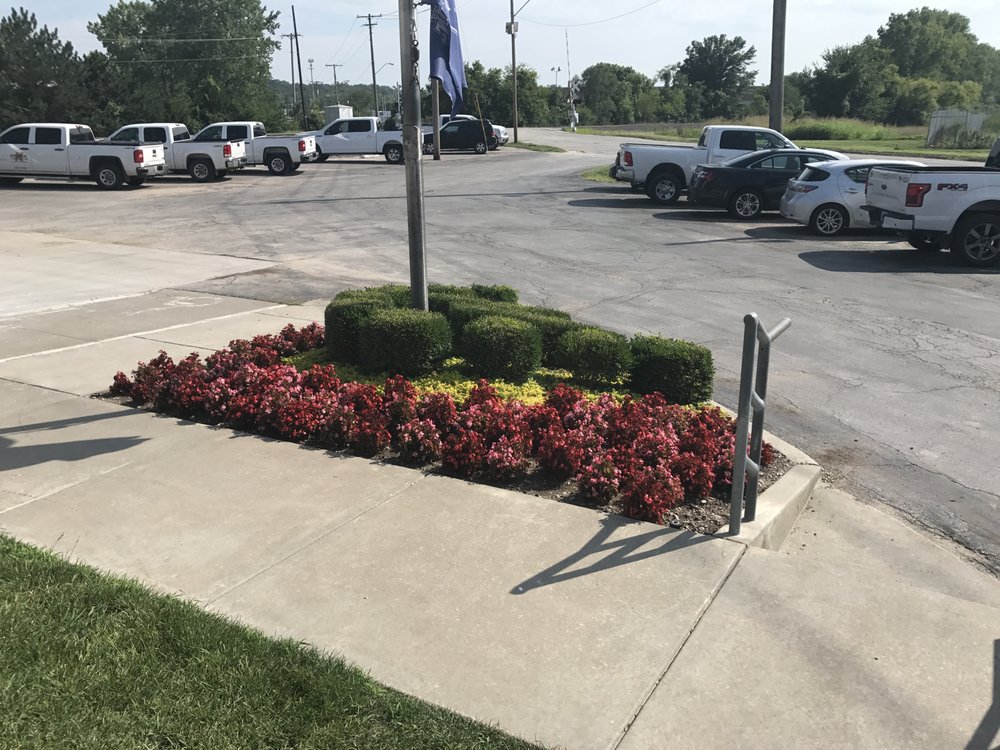 Photo of Shelton & Son Lawn & Tree Company