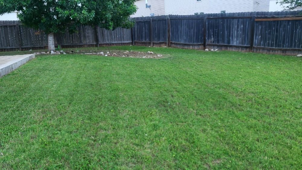 Photo of Positive Vibes Lawn Care