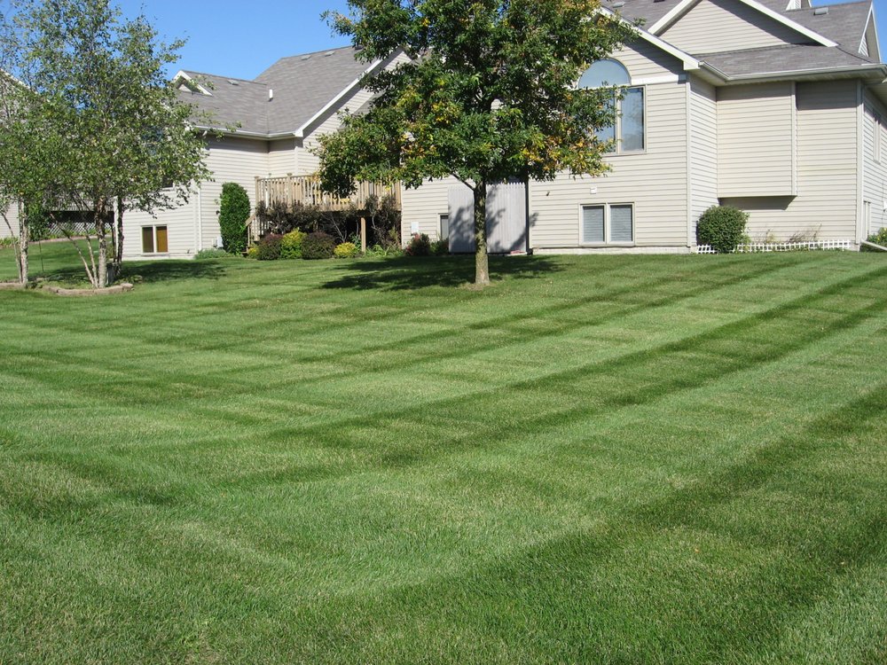 Photo of A Plus Lawn & Landscape