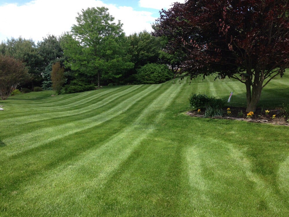 Photo of Stewart Bros Turf