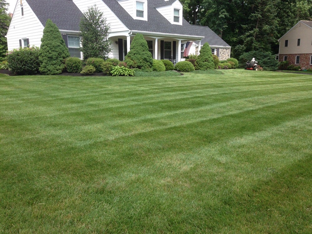 Photo of Stewart Bros Turf