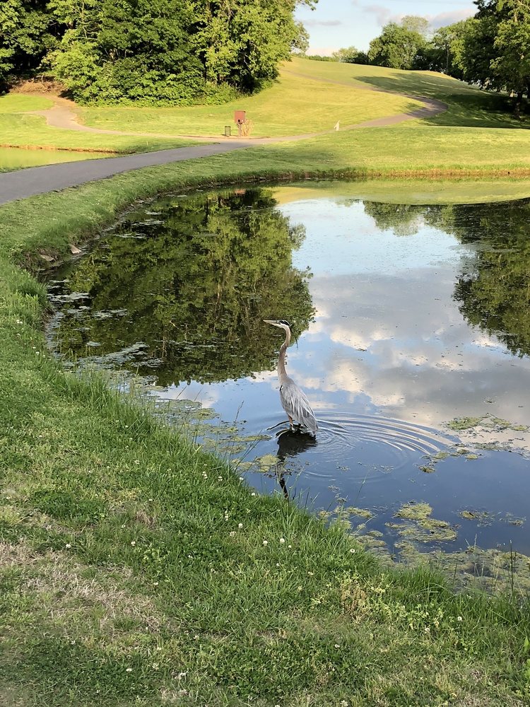 Photo of Country Hills Golf Course