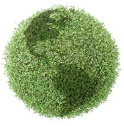 Photo of Chem-Dry of Montgomery County