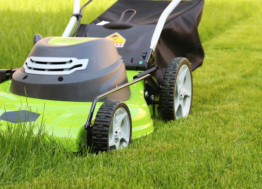 Photo of Am Lawn Service