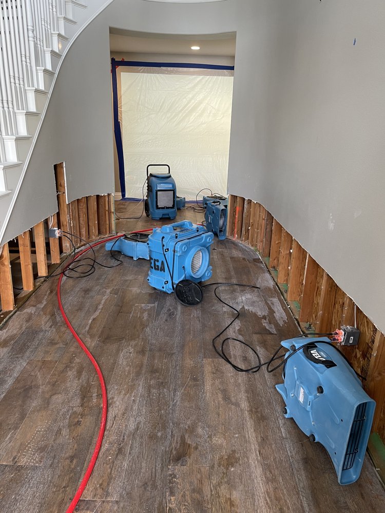 Photo of Mega Restoration Services