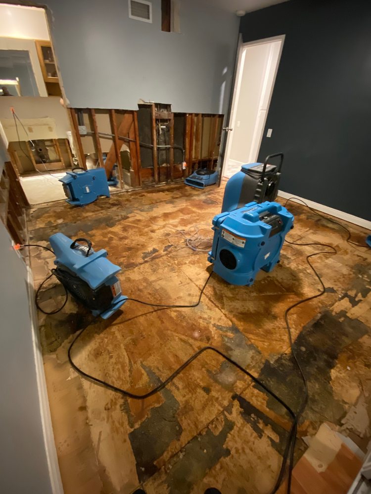 Photo of Mega Restoration Services