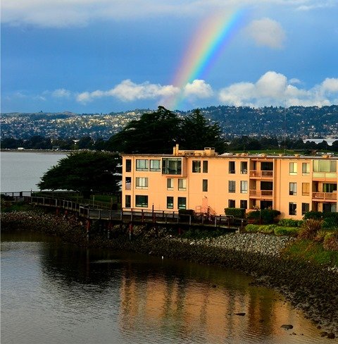 Photo of All East Bay Properties