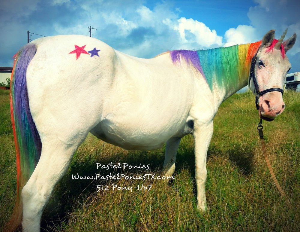 Photo of Pastel Ponies