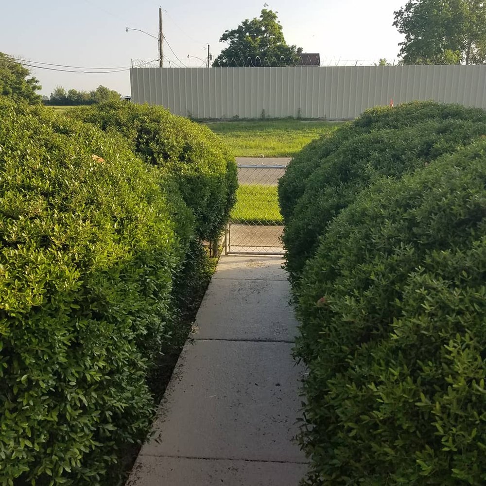 Photo of LA Handyman Services