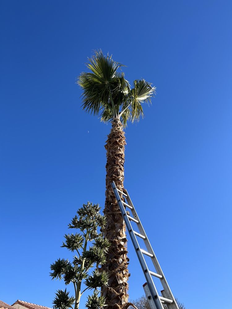 Photo of Las Vegas Hardscape&Design