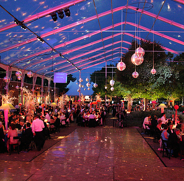 Photo of Stellar Productions
