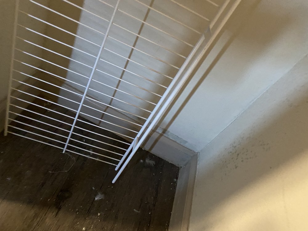 Photo of The Maywood Apartments
