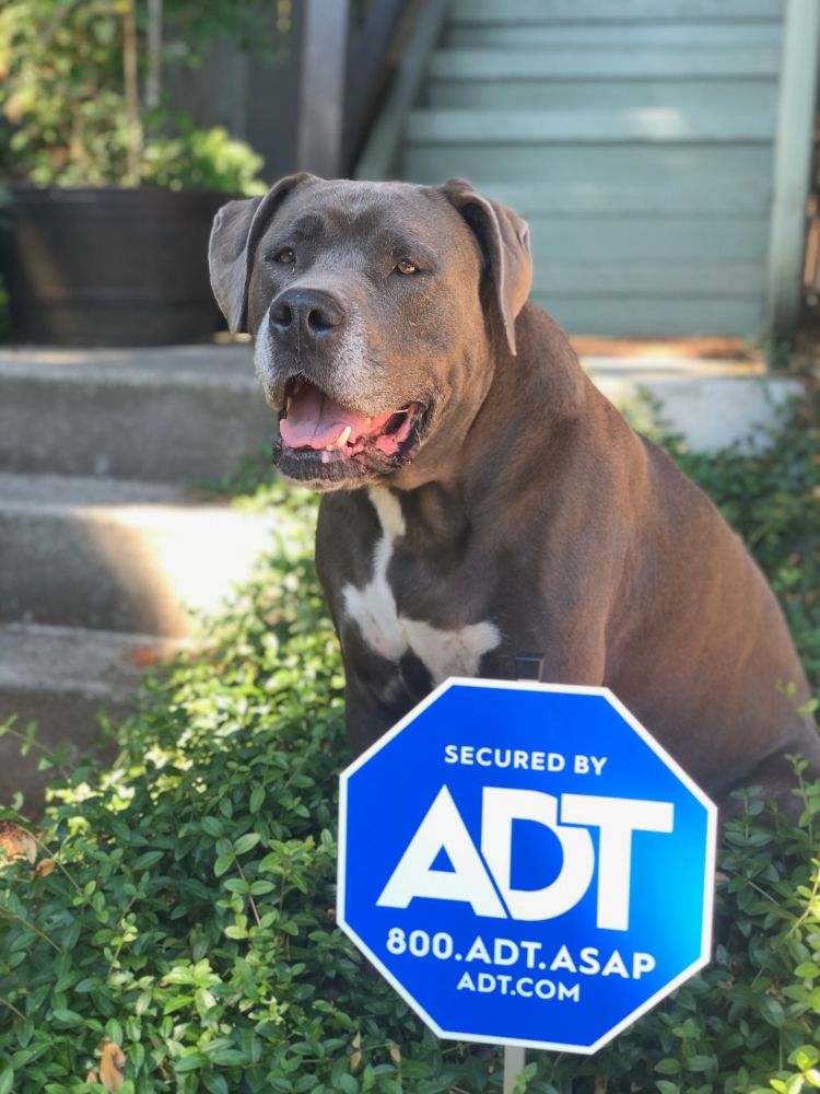 Photo of Homestar Security ADT