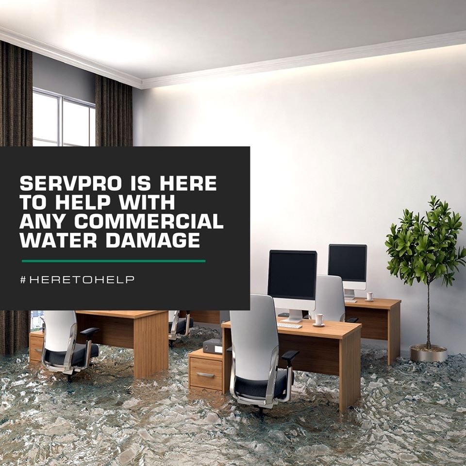 Photo of SERVPRO of Wright County