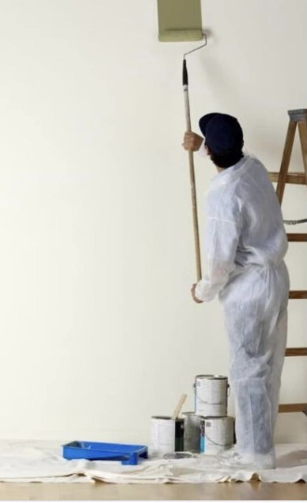 Photo of Speedy Gonzalez Painting