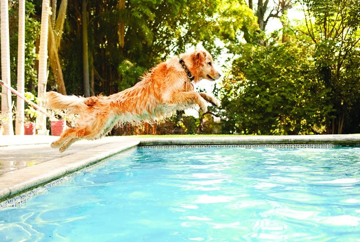 Photo of A-Quality Pools