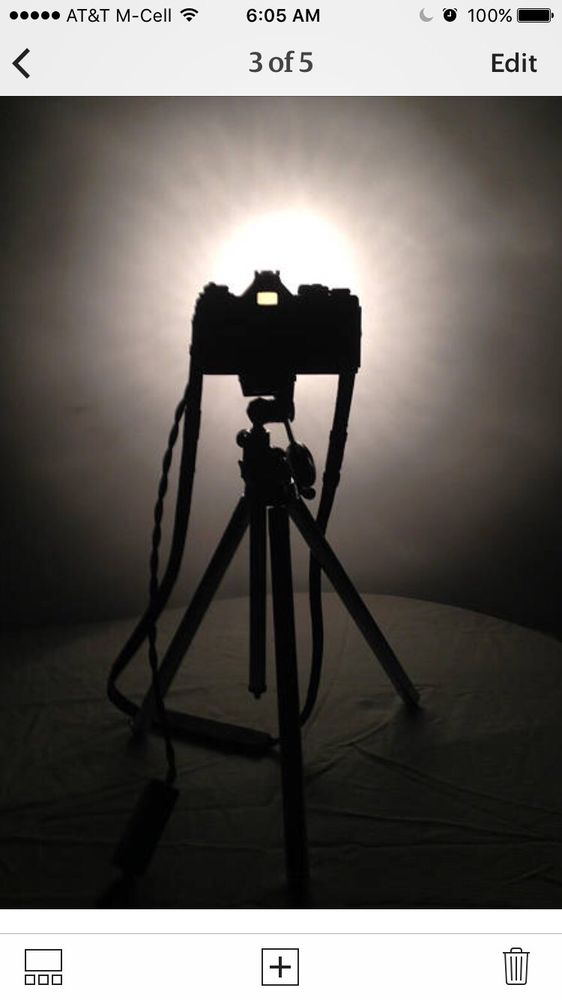 Photo of Little Bird Lighting