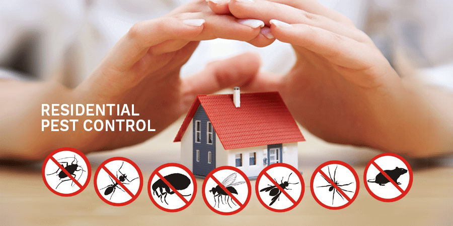 Photo of Budget Pest Control