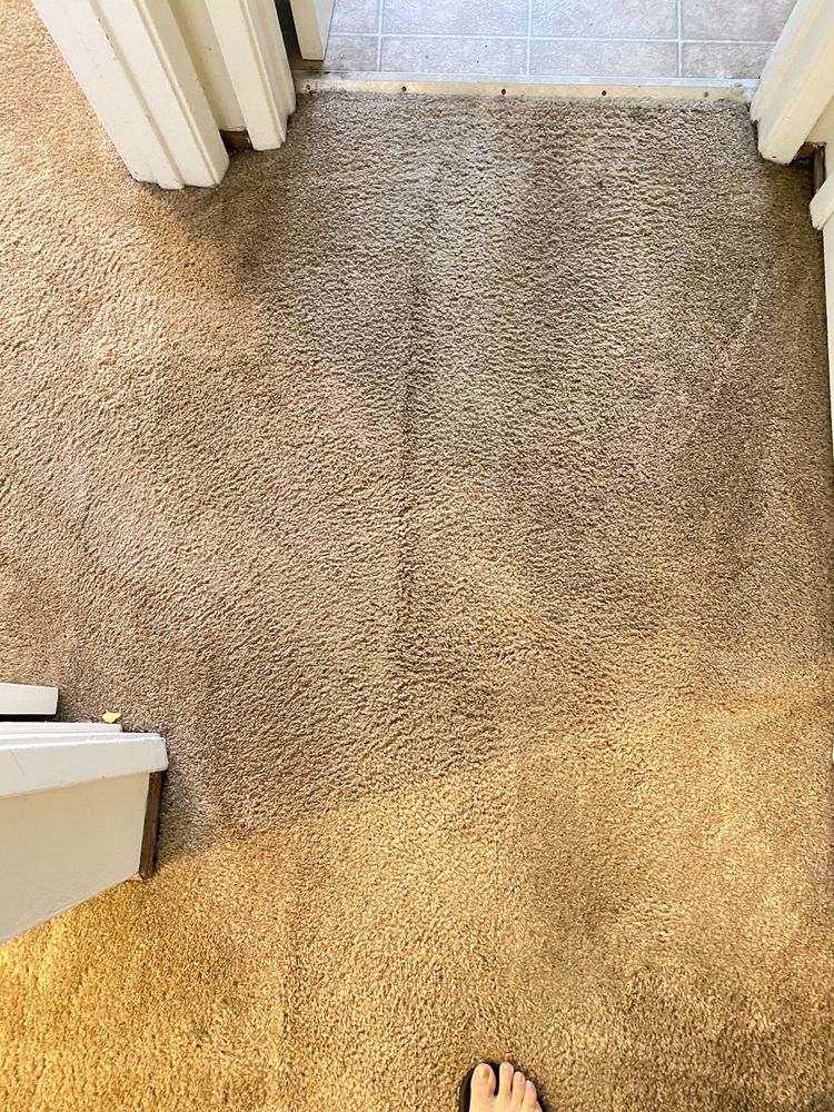 Photo of Champs Carpet