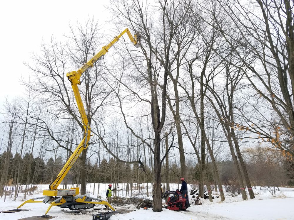 Photo of Crawford Tree & Landscape Services