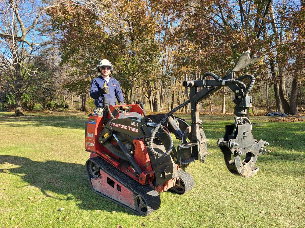 Photo of Crawford Tree & Landscape Services