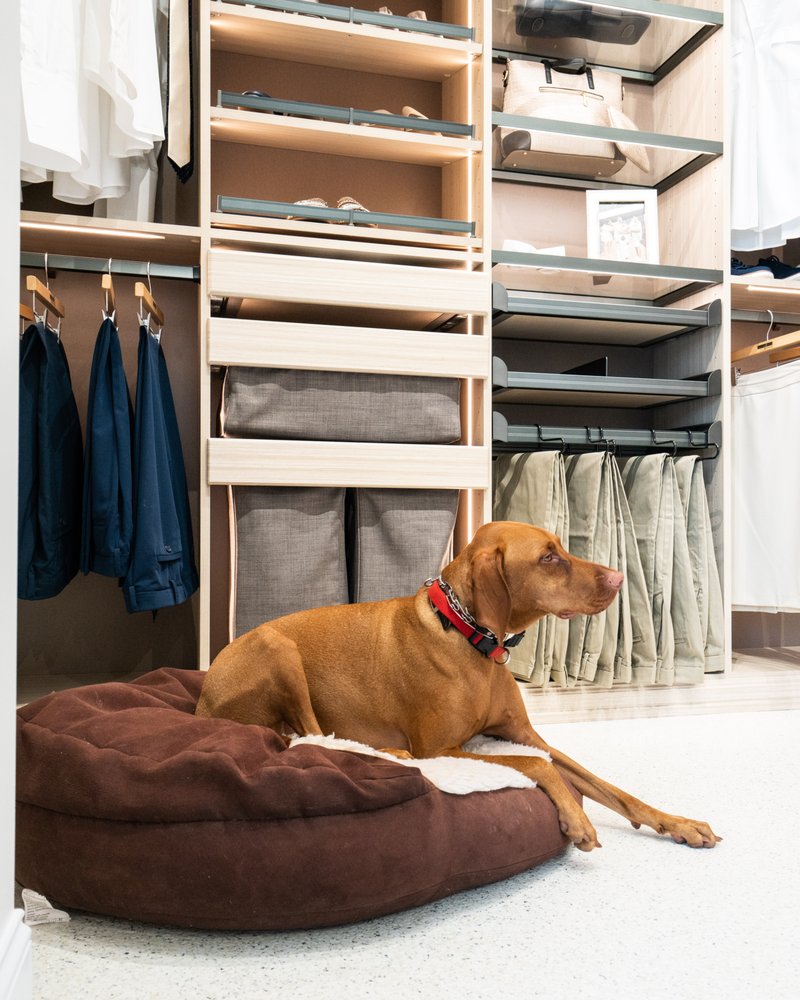 Photo of The Tailored Closet of North San Antonio