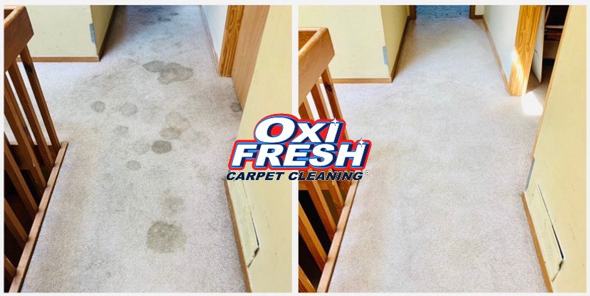 Photo of Oxi Fresh Carpet Cleaning