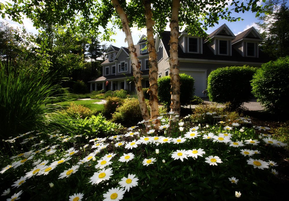 Photo of Blue Meadow Properties