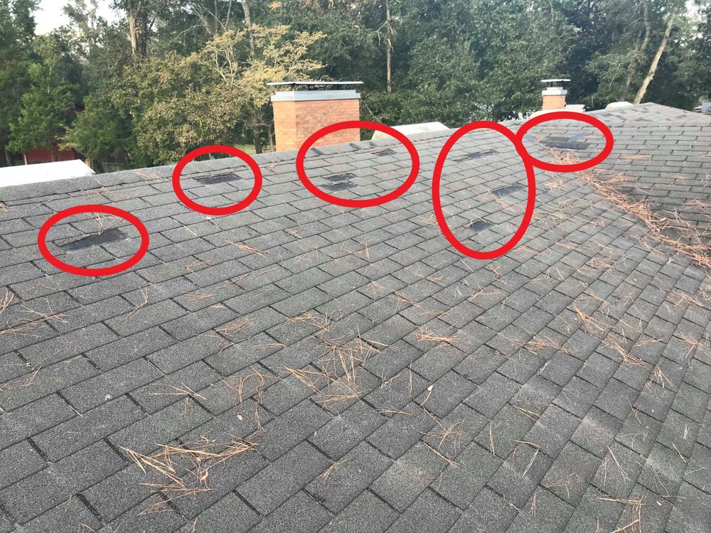 Photo of Florida Roof and Solar Contractors