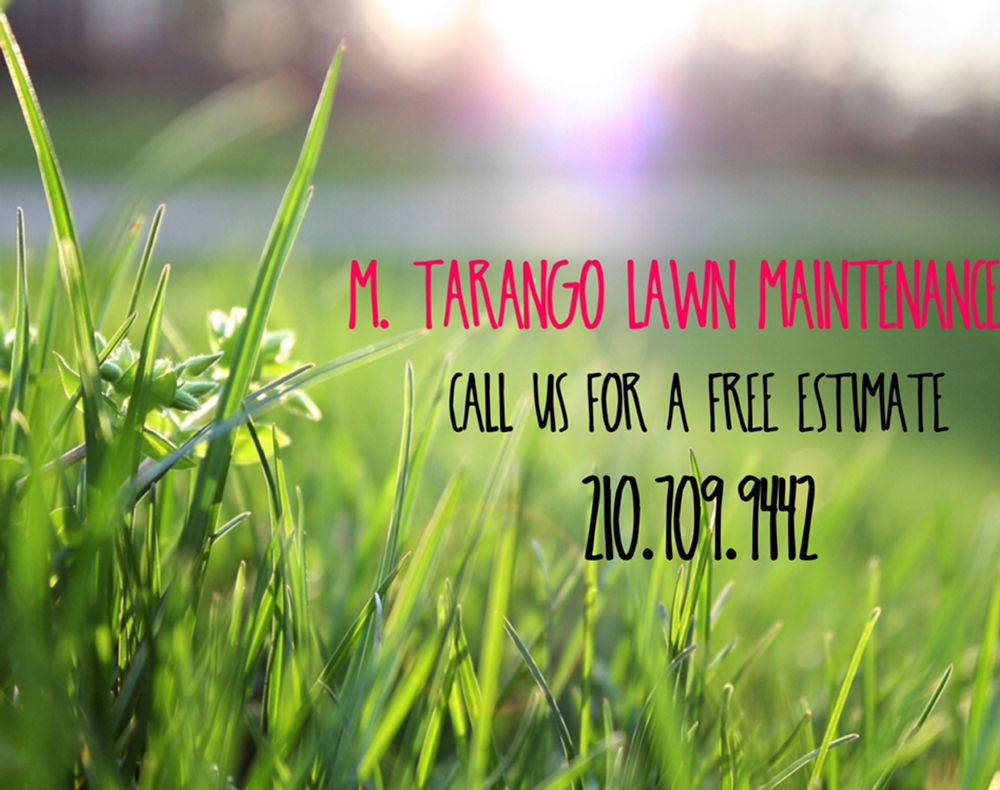 Photo of M Tarango Lawn Maintenance