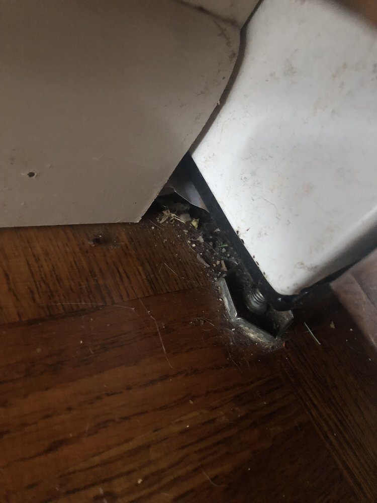 Photo of Crazy Clean