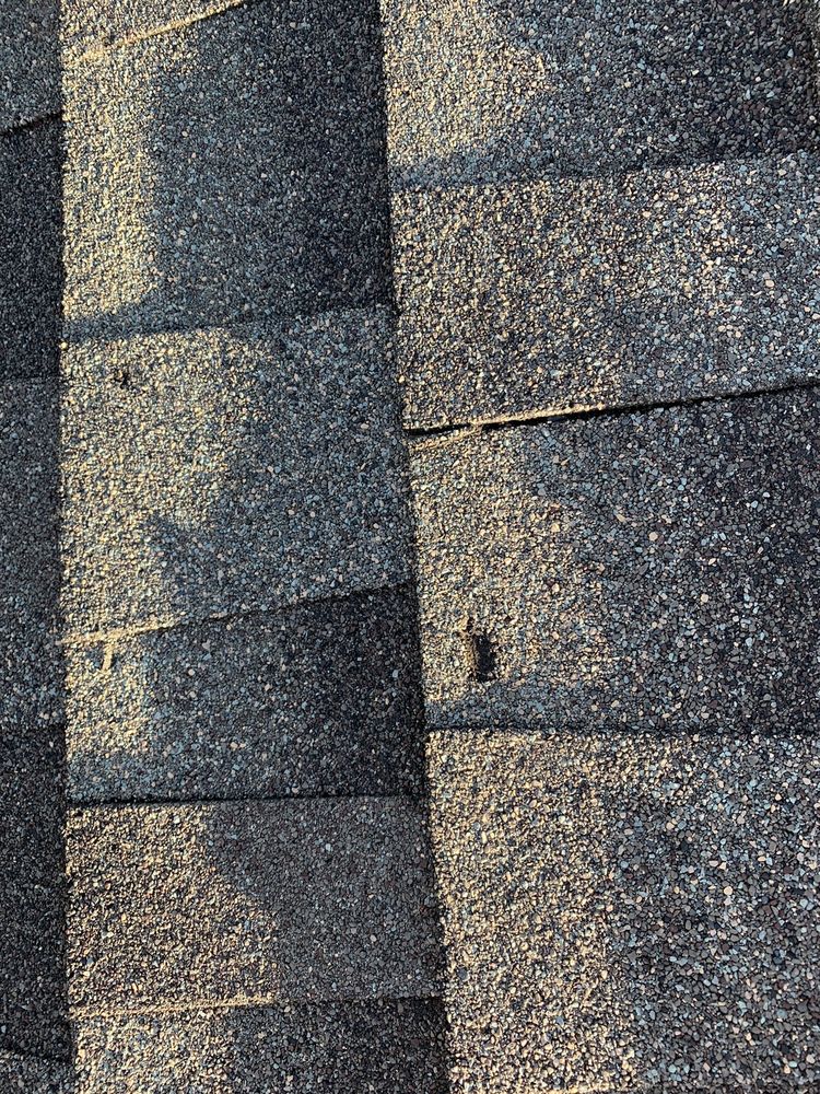 Photo of Pitch Perfect Roofing and General Contractors