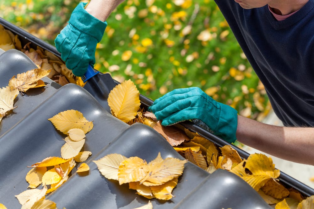 Photo of Paneless Window Cleaning