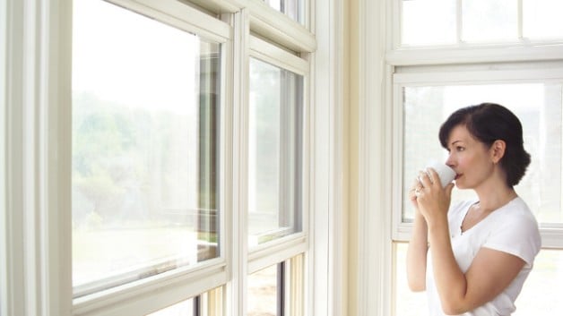 Photo of Paneless Window Cleaning