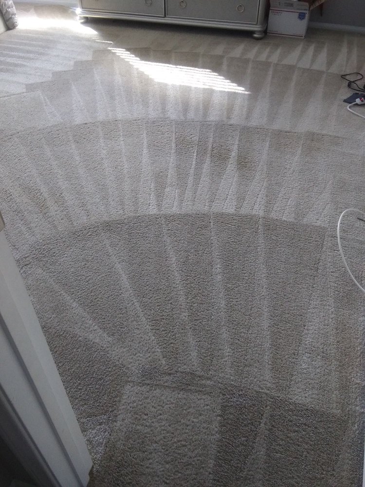 Photo of Green Carpet Cleaning Pros