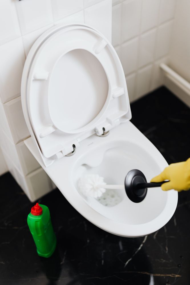 Photo of 5 Star Cleaning and Janitorial Services