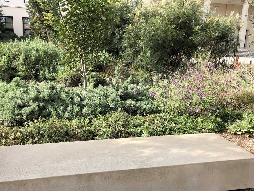 Photo of Waterwise Landscapes