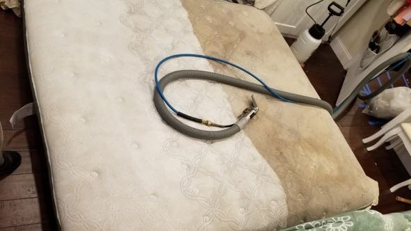 Photo of FL Carpet cleaners