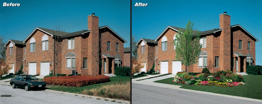 Photo of Ami Koenig Design, Inc