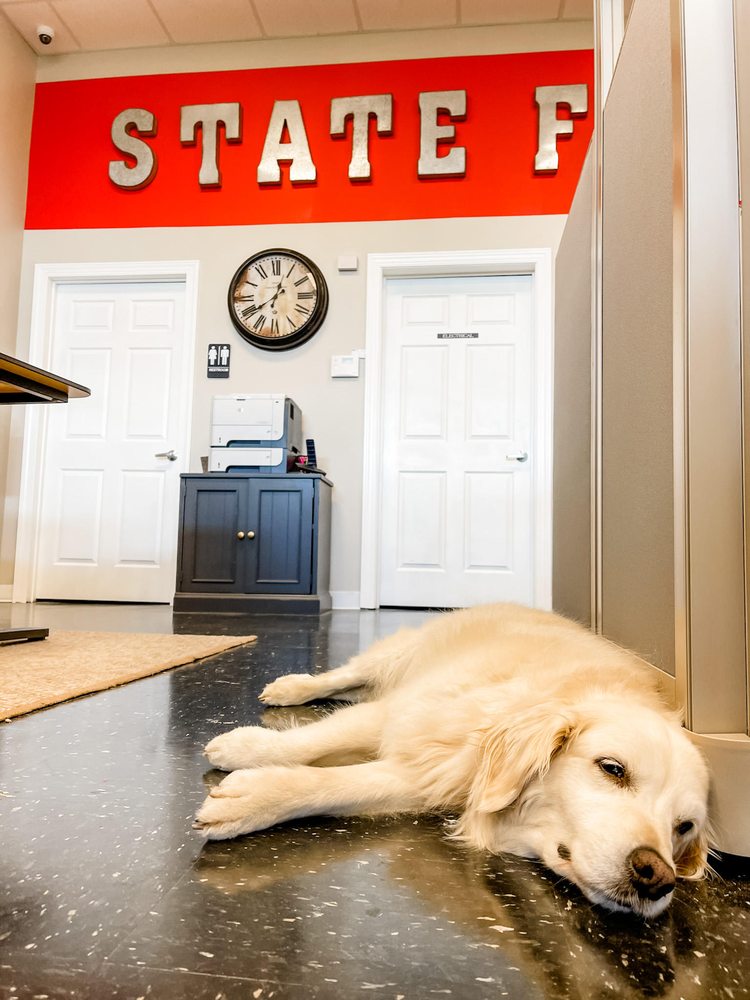 Photo of Ashley Berry - State Farm Insurance Agent