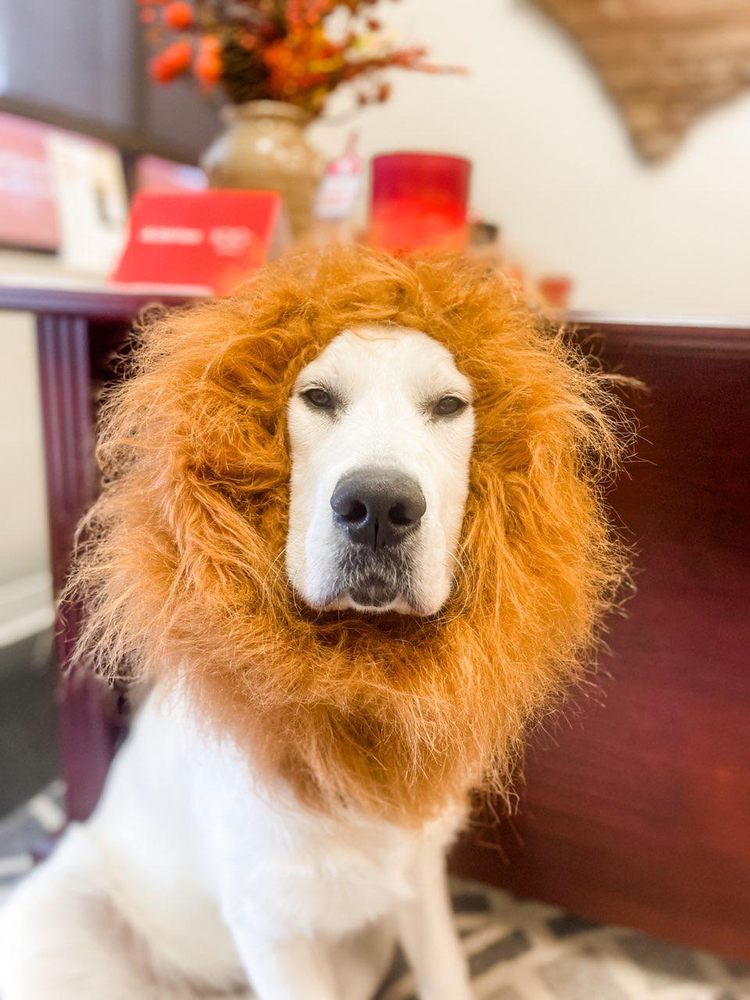 Photo of Ashley Berry - State Farm Insurance Agent