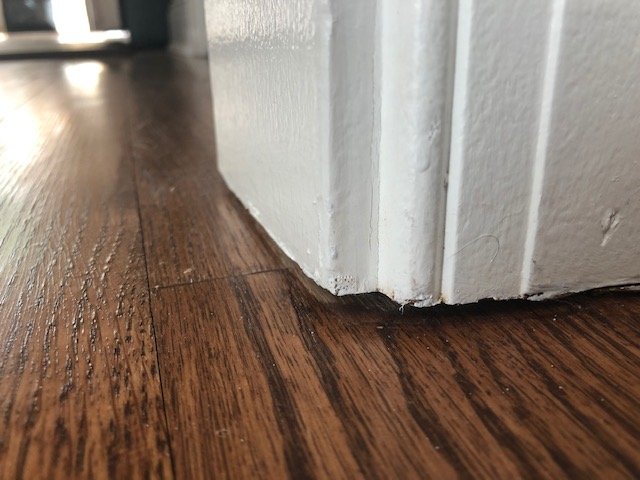 Photo of WE Floors