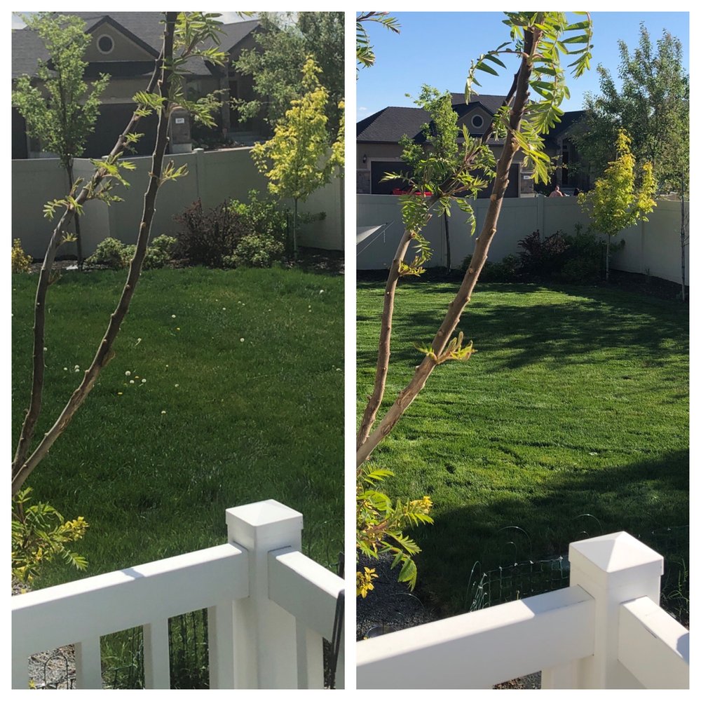 Photo of Cool Clippings Lawn Care